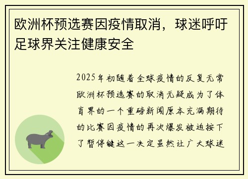 欧洲杯预选赛因疫情取消，球迷呼吁足球界关注健康安全