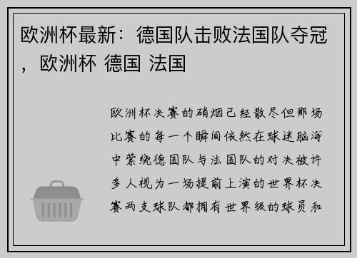 欧洲杯最新：德国队击败法国队夺冠，欧洲杯 德国 法国